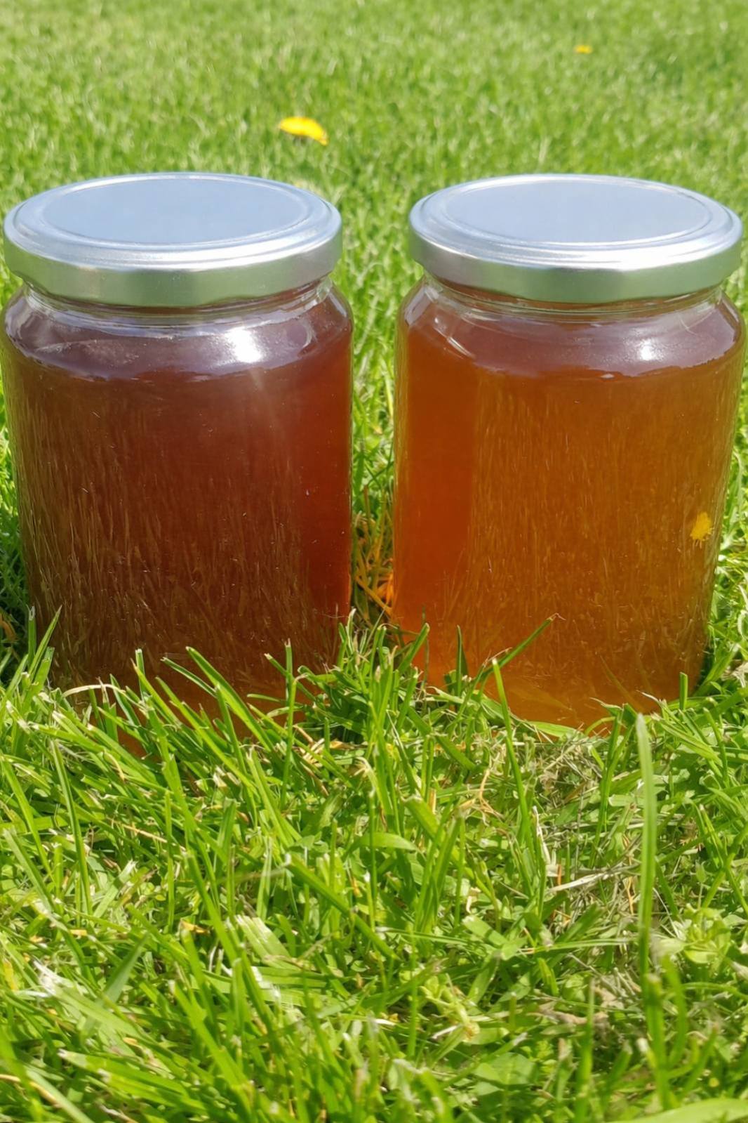 🍯 Mjalt Natyral Premium – Bagreni & Livadhi